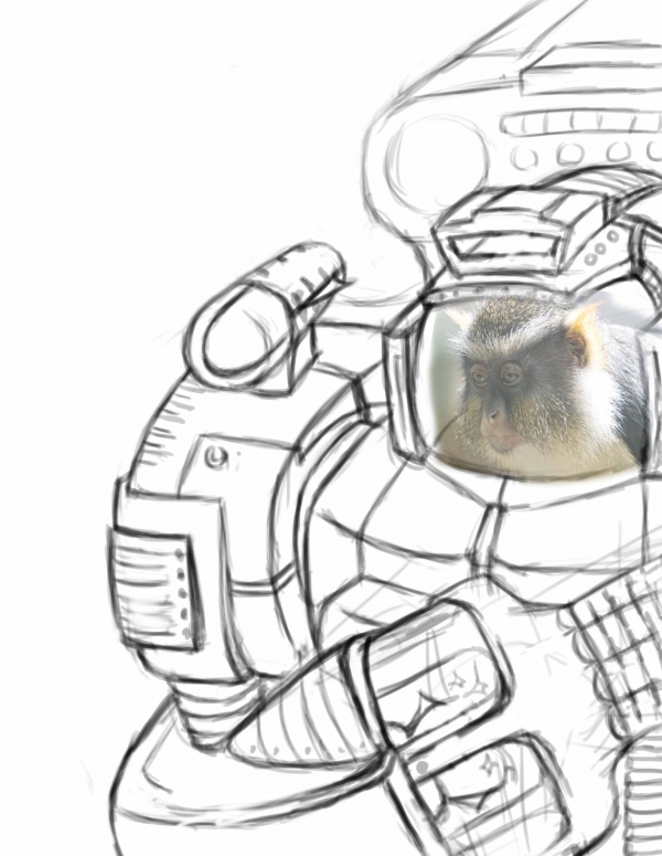 Creation of The Monkey Rebel: Step 1